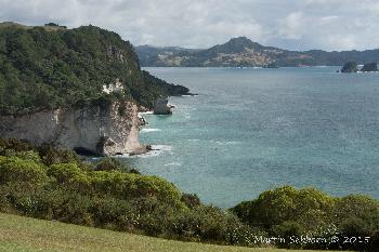 Stingray Cove