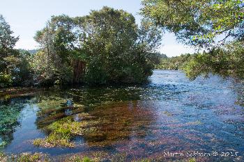 Waikoropupu Springs - huge fresh water spring
