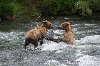 Young male and female playing