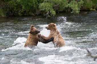 Young male and female playing