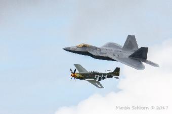 Generations apart - Raptor and Mustang