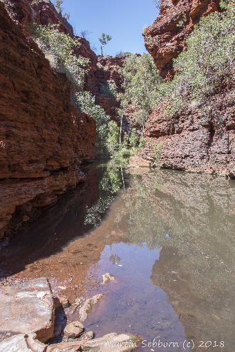 At the bottom on Weanu Gorge - you have to wade through this bit to get to the next place!
