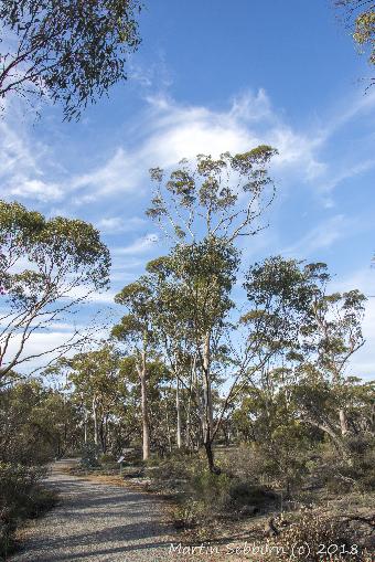 Around Wave Rock