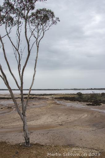 Lake Grace