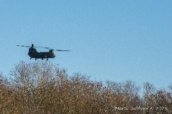 Low flying Chinook - heard it from miles away!