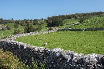 Near Settle