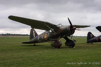 Amazing Lysander