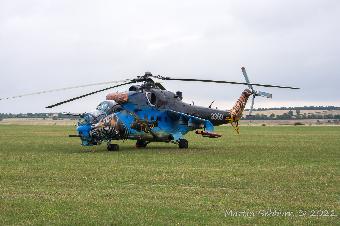 The stunning Hind